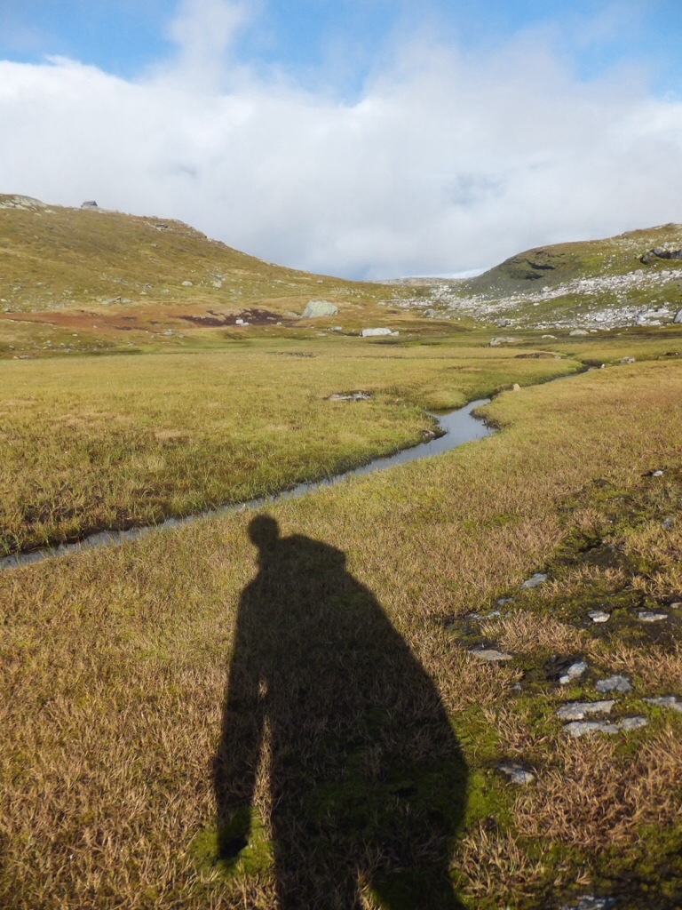 20130922-222843.jpg