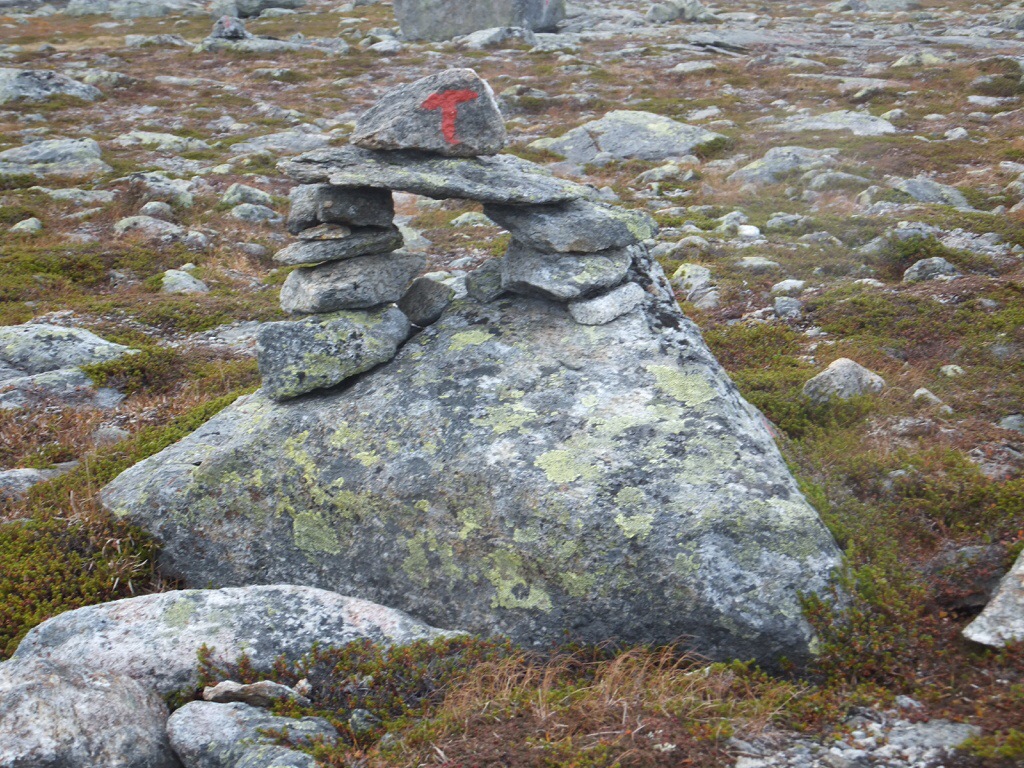 20130922-222854.jpg